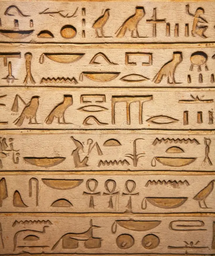 Close-up view of ancient Egyptian hieroglyphic symbols carved into a light beige stone wall in horizontal rows, featuring birds, ankh symbols, and sacred characters.
